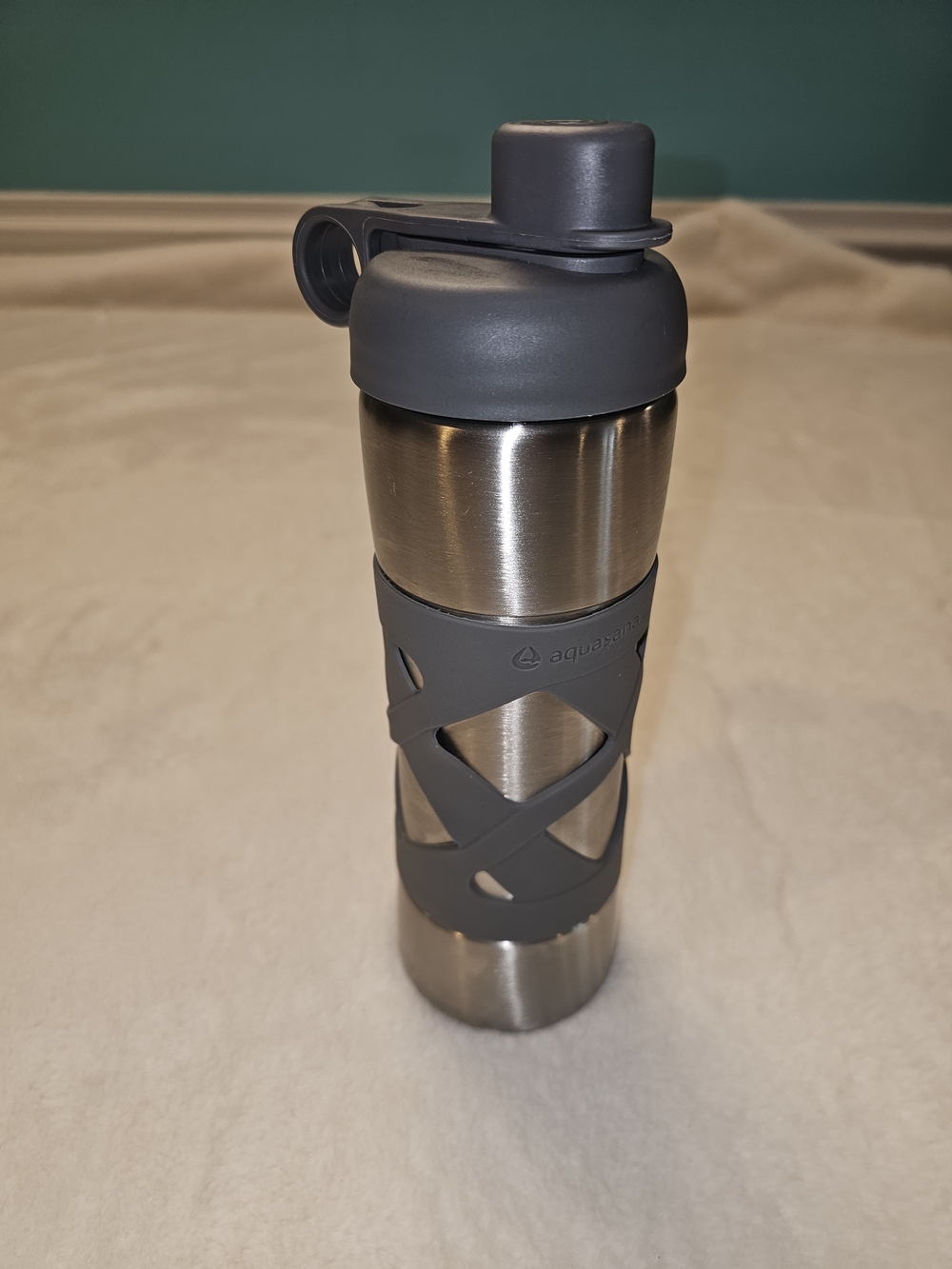 Aquasana Stainless Steel Water Bottle with Gray Grip